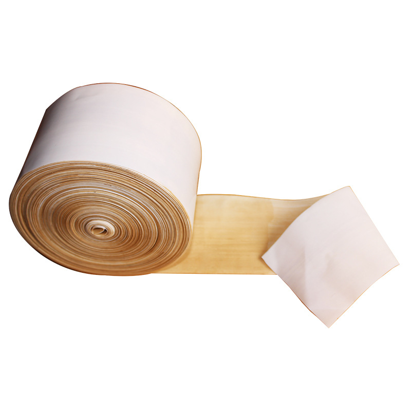 Fornitore di film in PTFE-Paidu Group